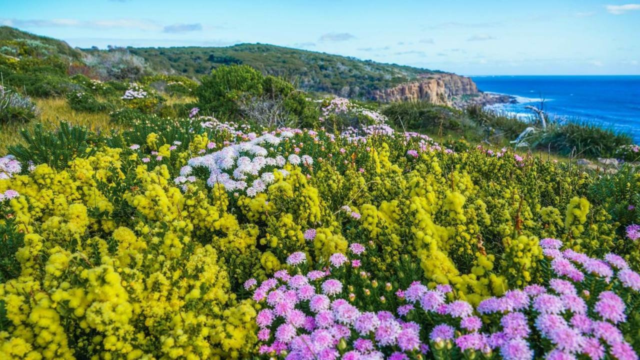 By The Sea Margaret River Gnarabup Esterno foto